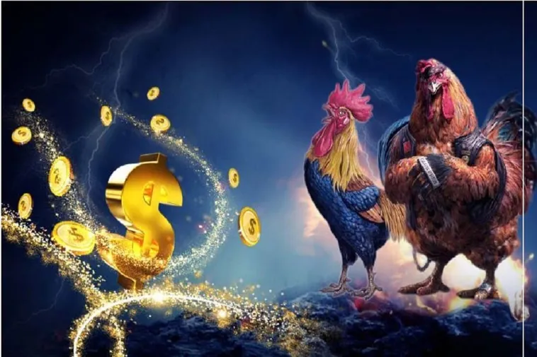 Cách Chơi Đá Gà WS168 Tại BuBet: Hướng Dẫn Chi Tiết