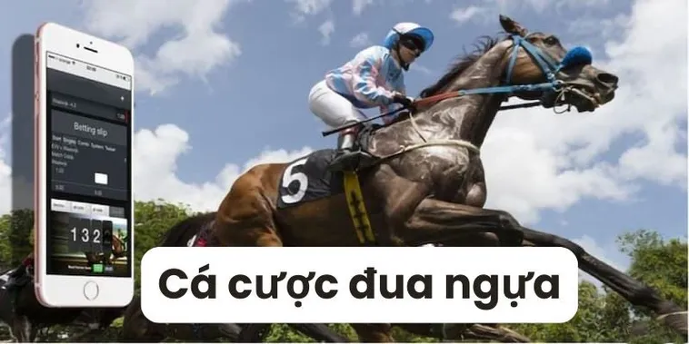 Tìm Hiểu Cá Cược Đua Ngựa BuBet: Hấp Dẫn Và Kịch Tính 2 Tìm Hiểu Cá Cược Đua Ngựa BuBet: Hấp Dẫn Và Kịch Tính