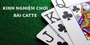 Bí Quyết Chơi Sắc Tê Nhà Cái BuBet Dành Cho Người Mới
